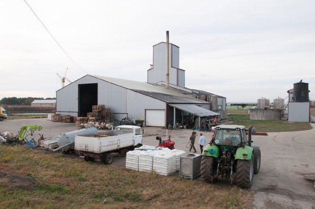 Житељи Лукићева шест година трпе смрад